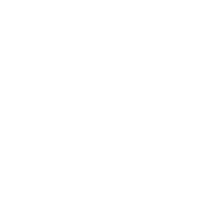 dataset